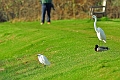 22 12 16_4653_edited-2